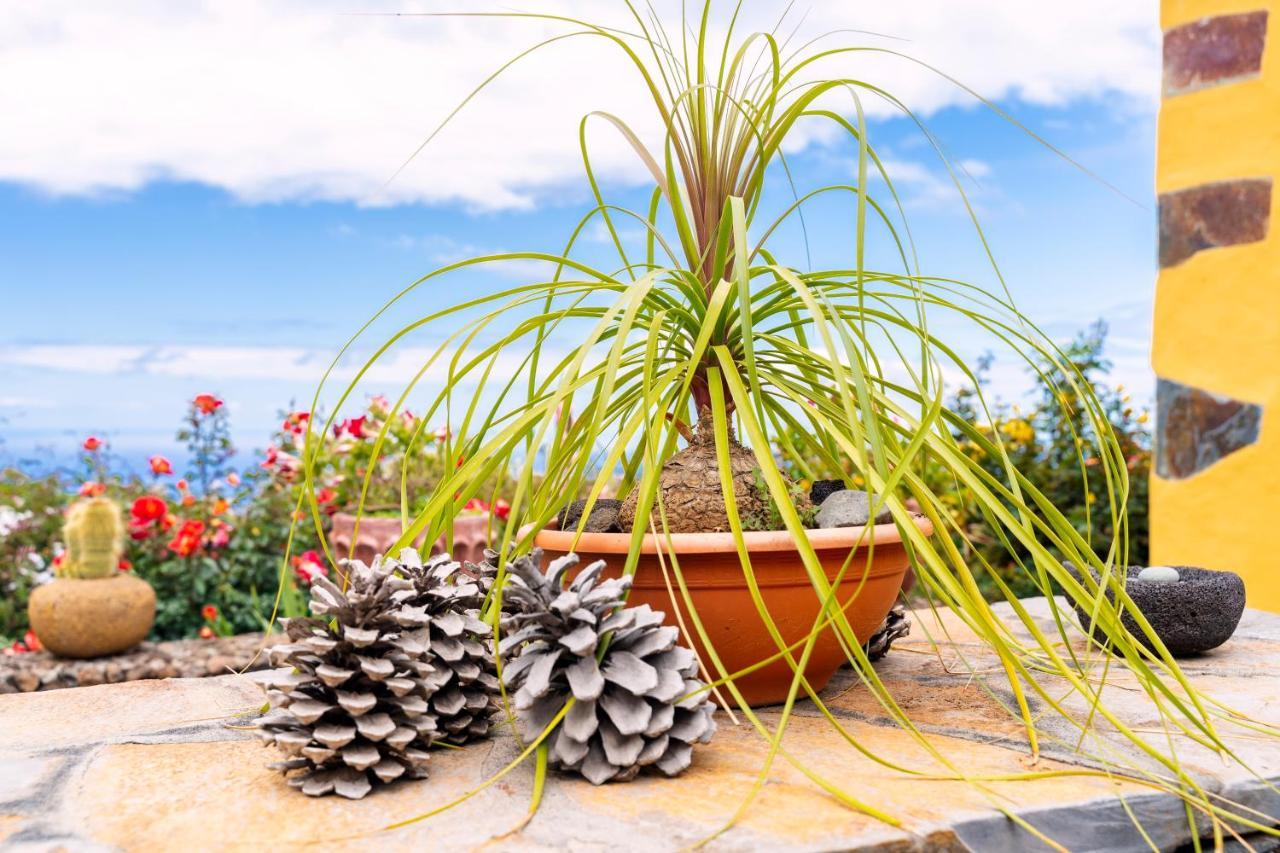 El Palmeral Tinizara Ngoại thất bức ảnh
